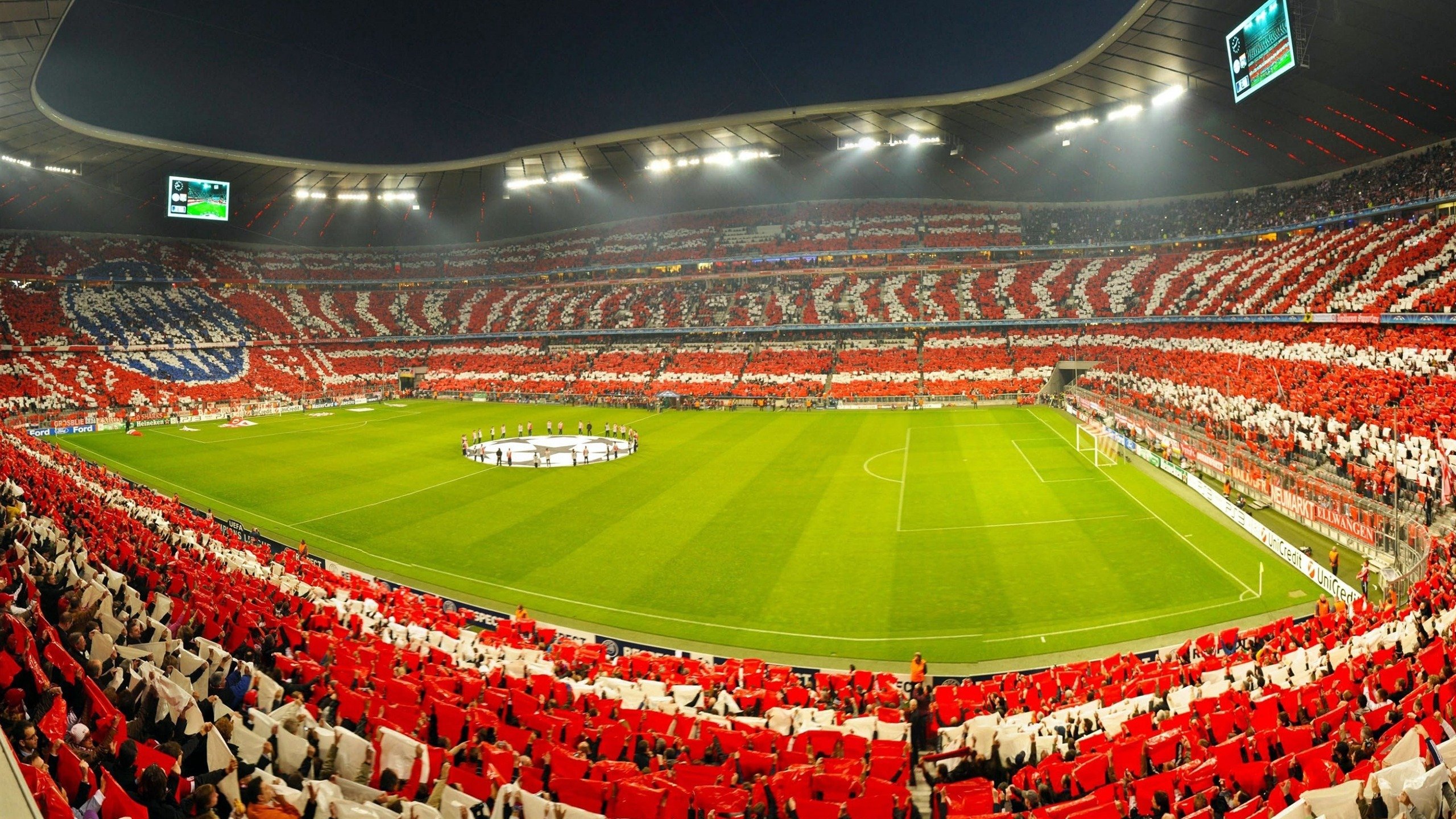 世界杯：多支球队随队女队医、女理疗师首次出现在大赛官方合照中